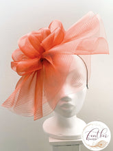 Load image into Gallery viewer, Taylor