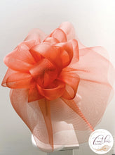 Load image into Gallery viewer, Taylor