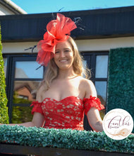 Load image into Gallery viewer, Taylor