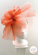 Load image into Gallery viewer, Taylor